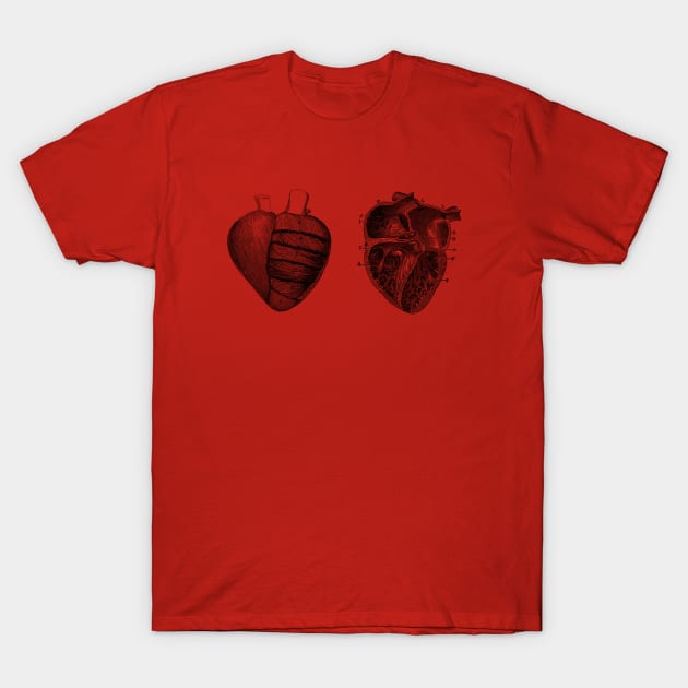 Heart Diagram - Dual View - Vintage Anatomy T-Shirt by Vintage Anatomy Prints